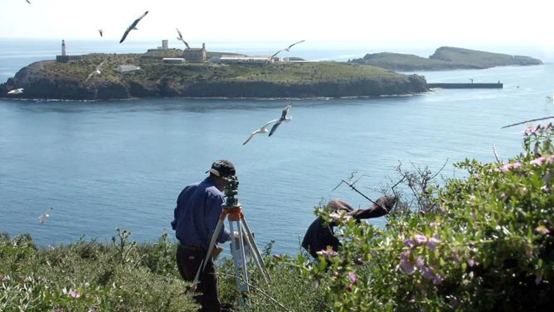 Un topógrafo del Insituto de Cultura Mediterránea de Melilla trabaja en la Isla del Congreso, una de las tres que componen el archipiélago de Chafarinas, situadas a 50 kilómetros de Melilla (2003)