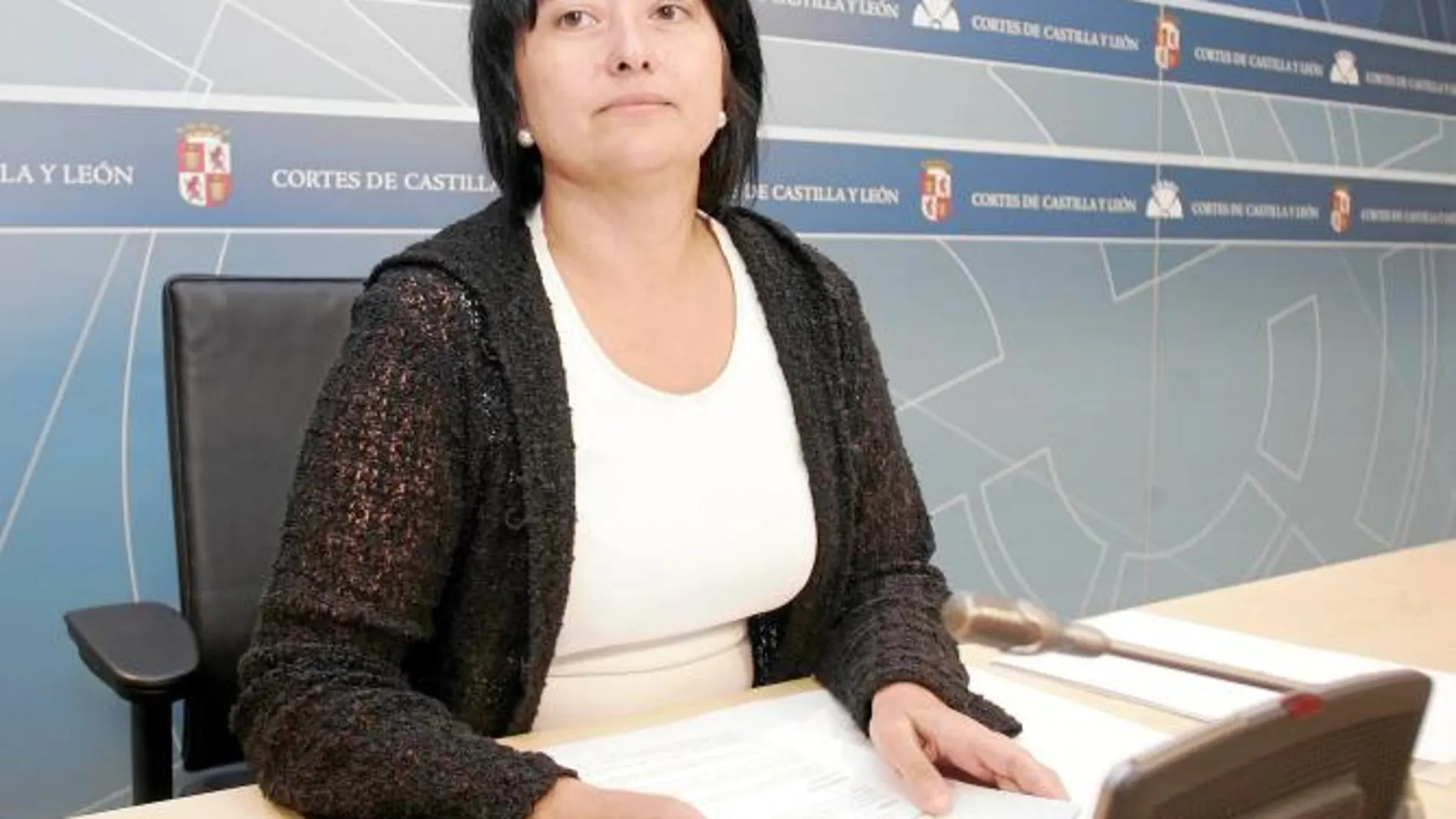 La procuradora socialista Ángela Marqués