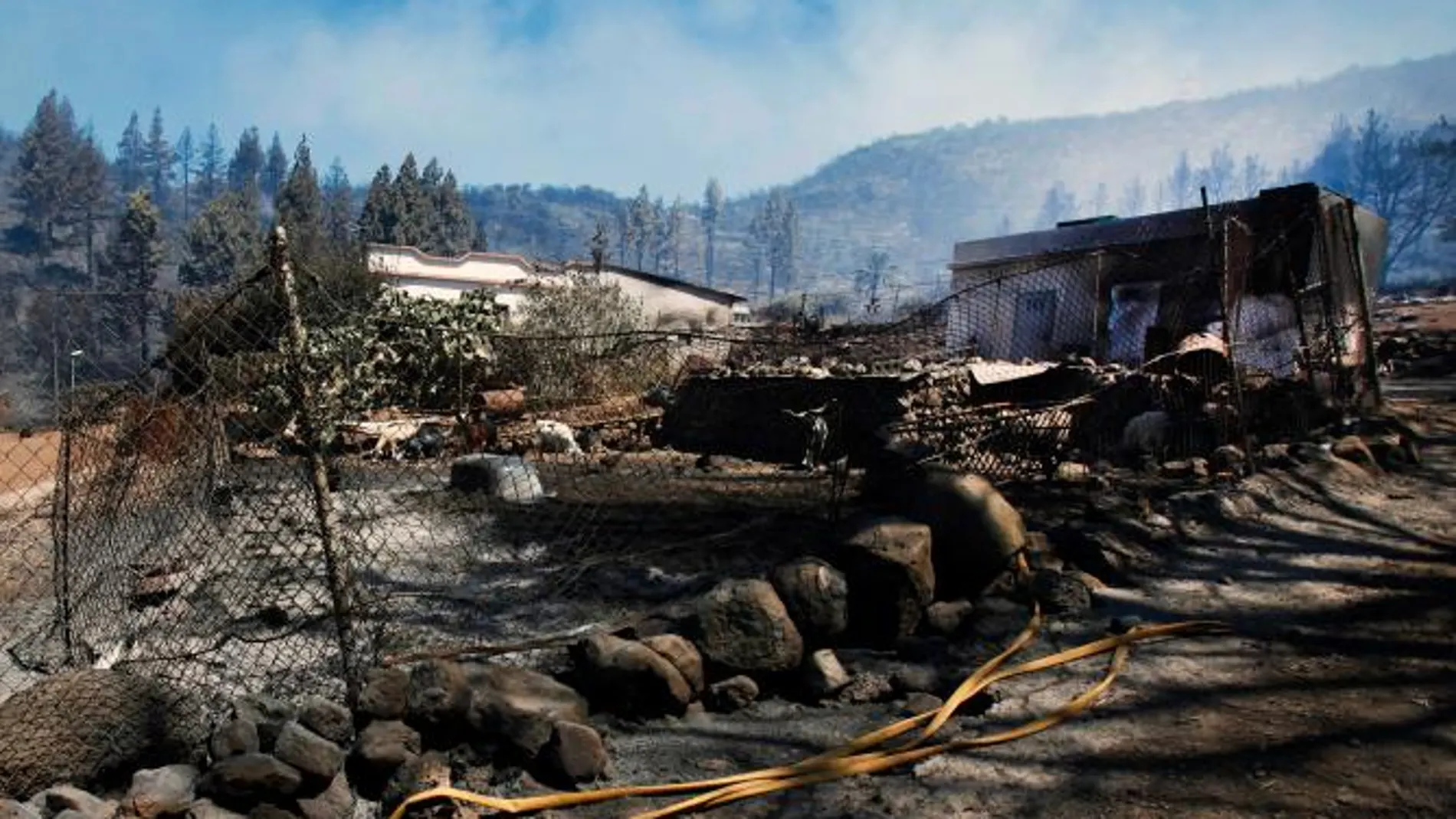 Imágenes del incendio de La Gomera