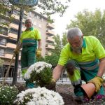 Dos operarios plantan los tiestos en la plaza de la Concordia