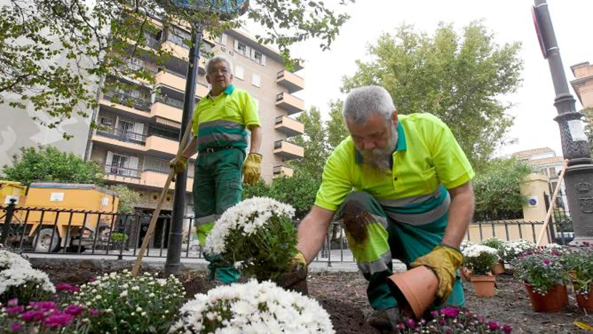 Dos operarios plantan los tiestos en la plaza de la Concordia