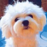 Mateo ganador de la semana