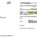 El parte médico de los agentes: «Policontusiones y mordeduras»