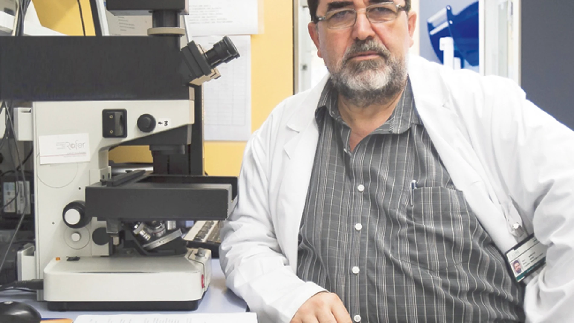 «Las células de médula ósea evitan rechazos»