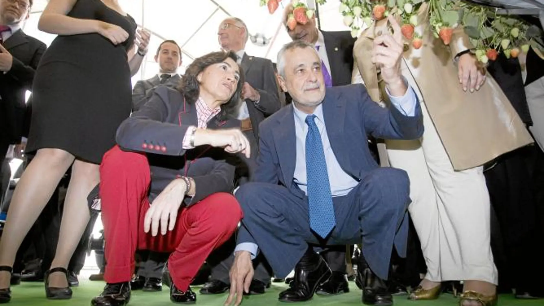 José Antonio Griñán y Rosa Aguilar abrirán la campaña del PSOE en un acto en Córdoba