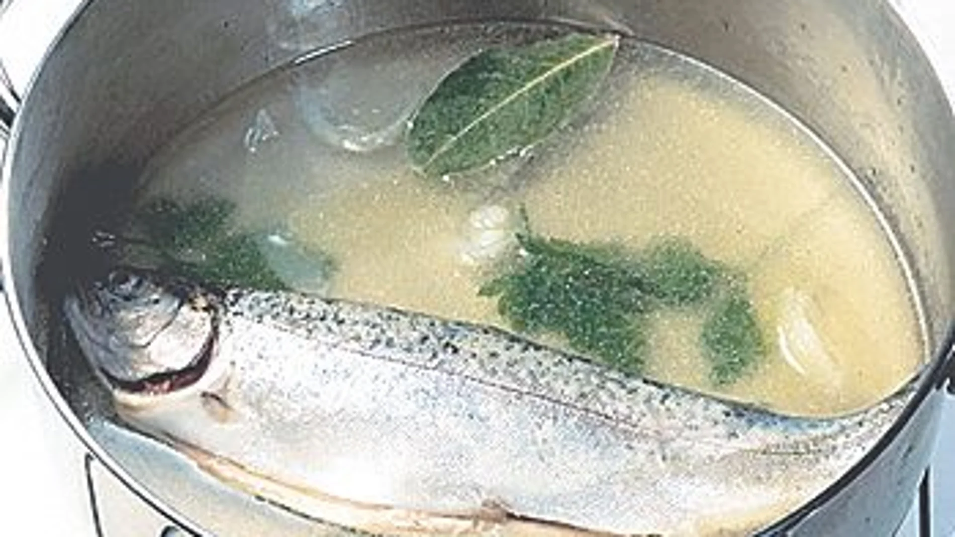 Métodos para cocer alimentos