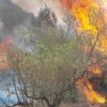 Un bombero trata de sofocar las llamas en uno de los focos 