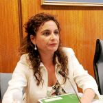 La consejera de Salud de la Junta, María Jesús Montero, durante una intervención en el Parlamento autonómico