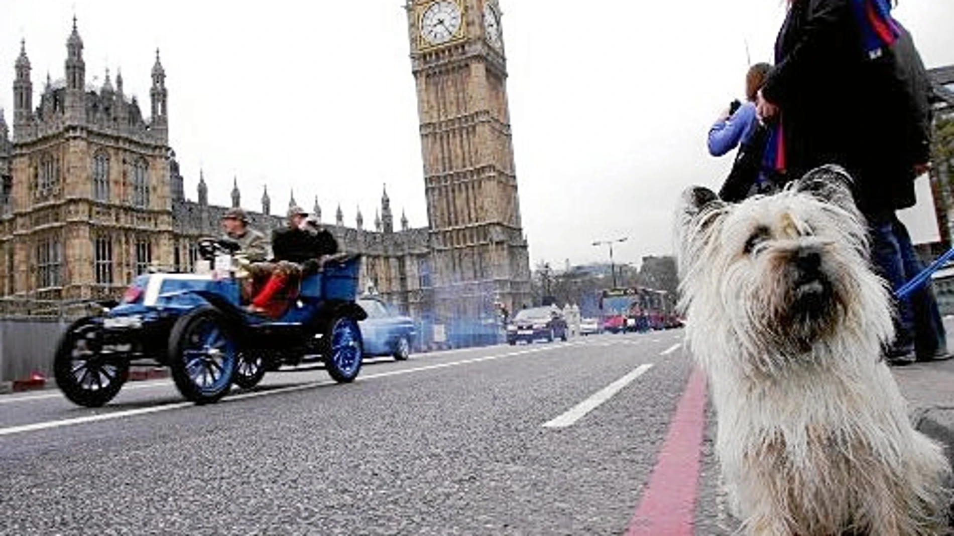 La guía turística más animal para divertirse en Londres 2012