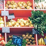 Cuestionan el papel anticancerígeno de los antioxidantes