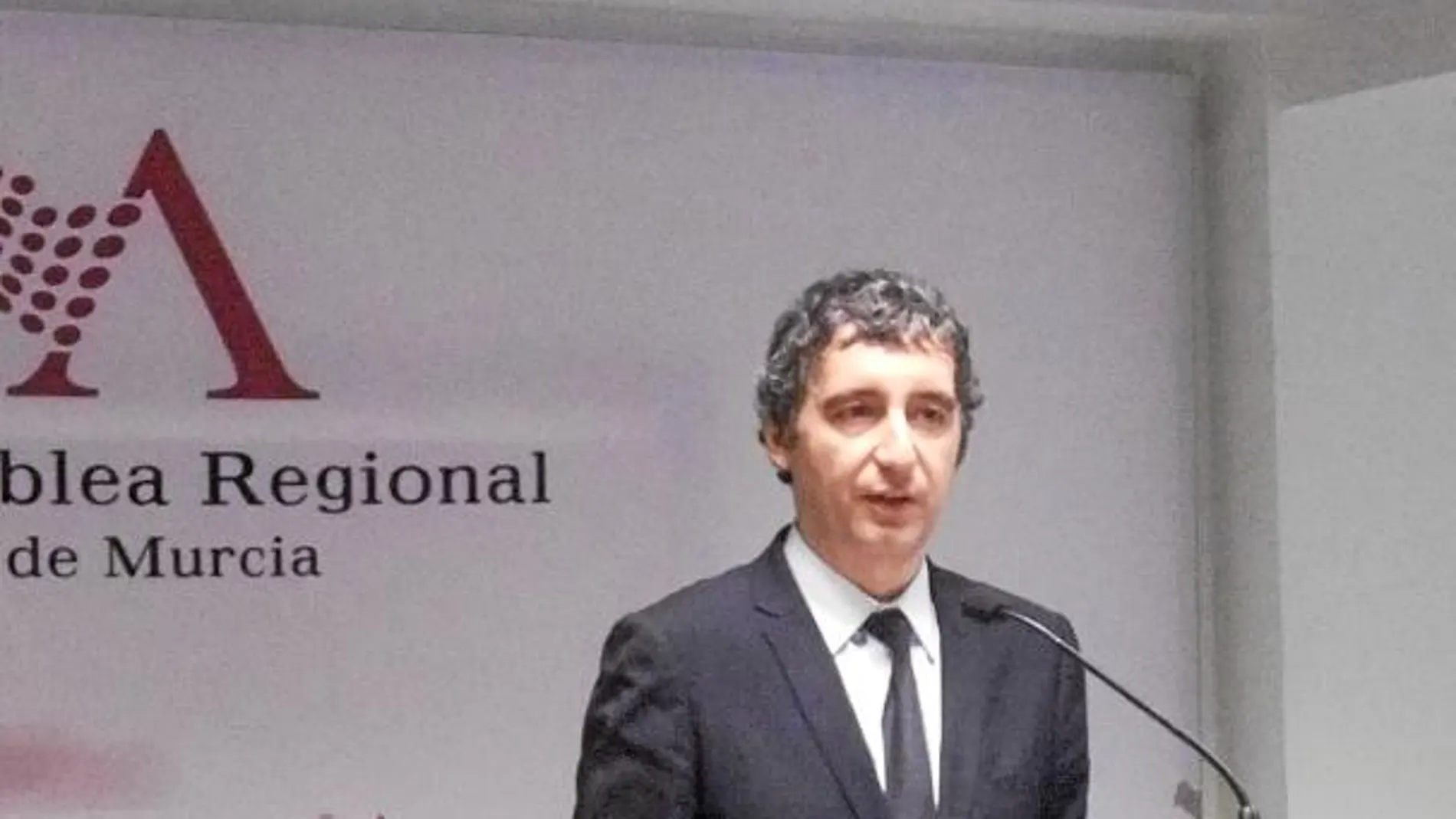 El consejero de Cultura y Turismo, Pedro Alberto Cruz, ayer en la Asamblea