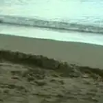  Hallado un bebé muerto en una playa
