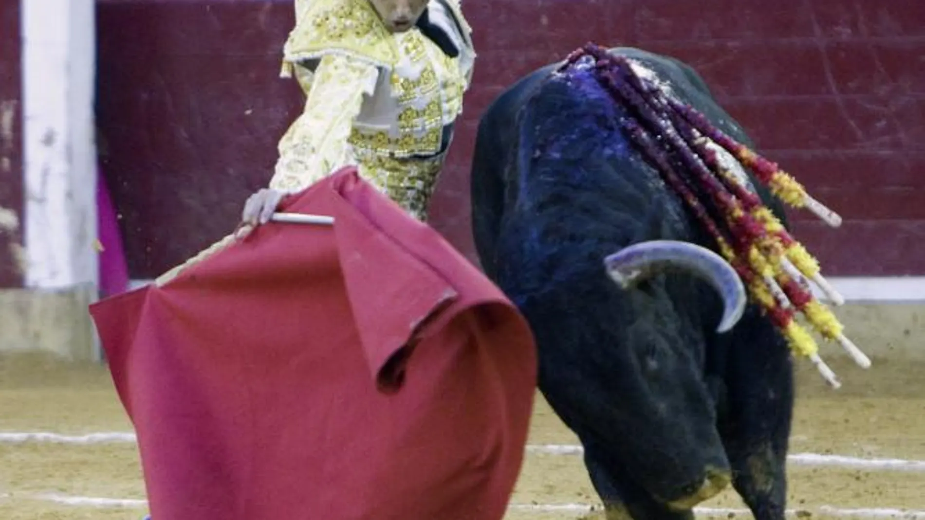 El salmantino Javier Castaño culmina un derechazo a su segundo toro de Cuadri en la penúltima de la Feria del Pilar de Zaragoza