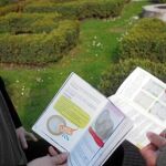En la imagen, dos jóvenes leen el material educativo de un curso de sexualidad