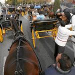 Pañales en los coches de caballos a partir de junio
