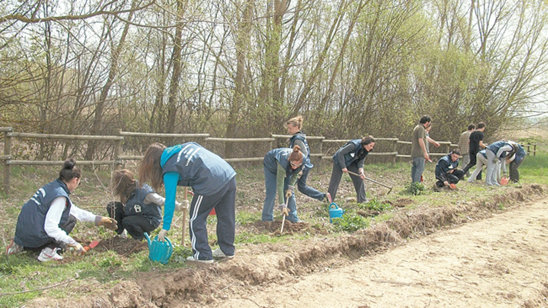 Salamanca recupera los valores del campo