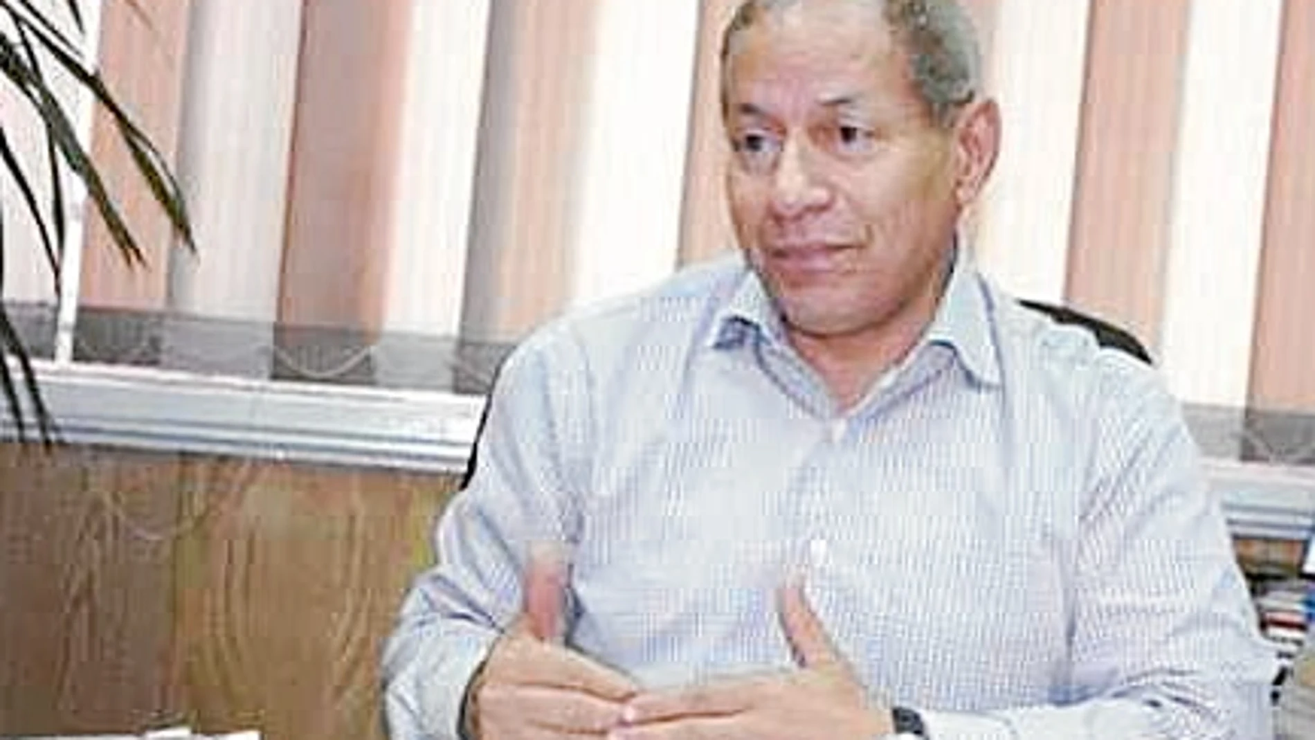 Mohamed El Shamaa: «Mubarak no soportaría un ‘Hermano' de presidente»