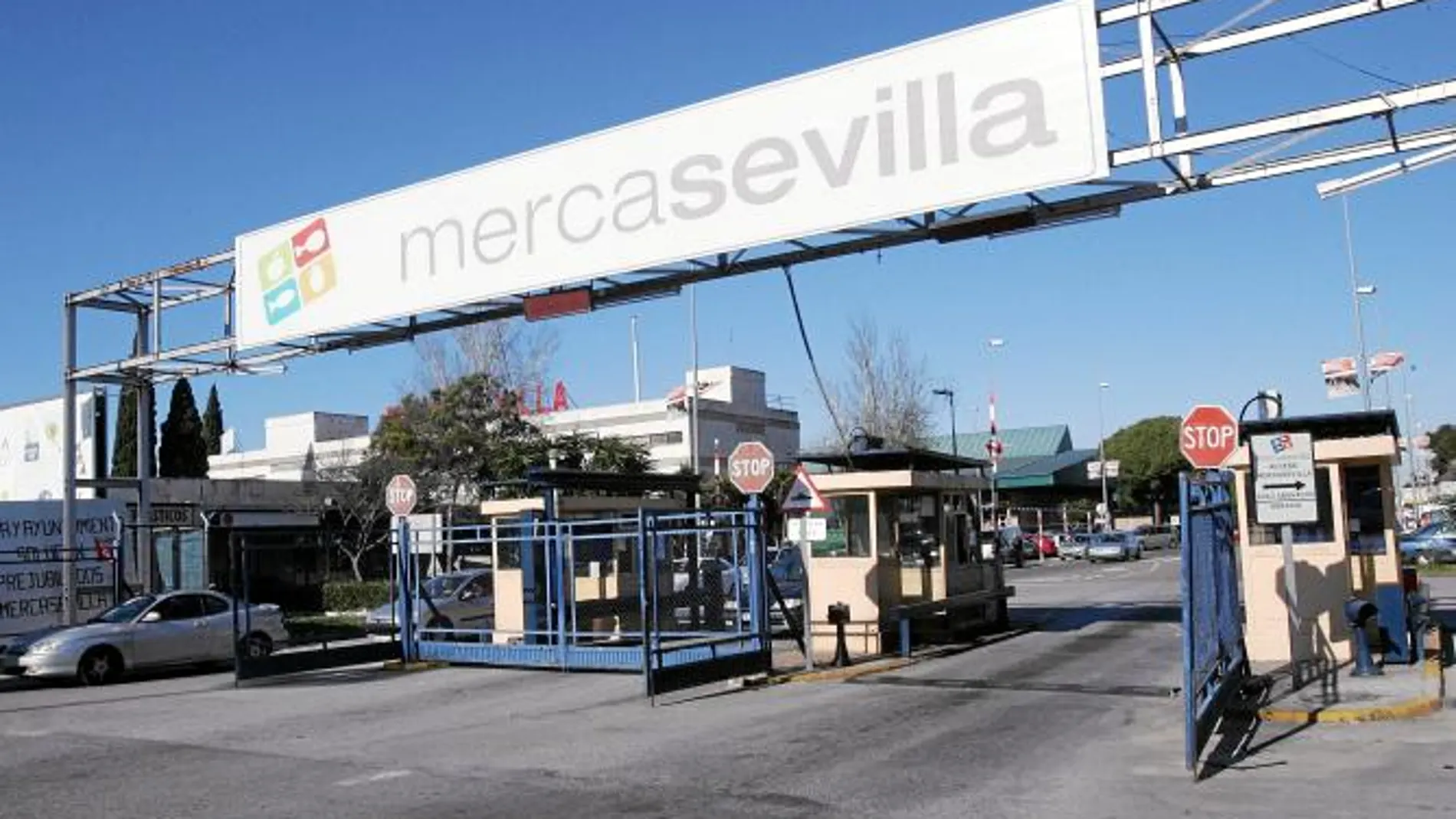 Mercasevilla cerró el año 2010 con pérdidas por valor de 381.560 euros y espera acabar 2011 con 1,8 millones