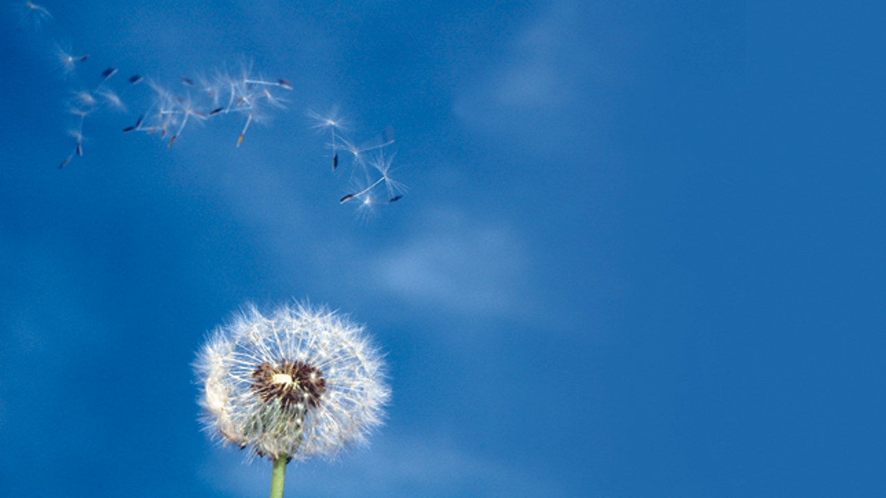 Respira Tranquilo: La Ventilación de tu Hogar, Clave para tu Salud y Bienestar