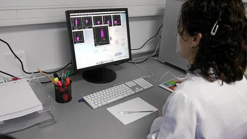 Los investigadores de las Universidades valencianas deberán demostrar el beneficio social de sus proyectos
