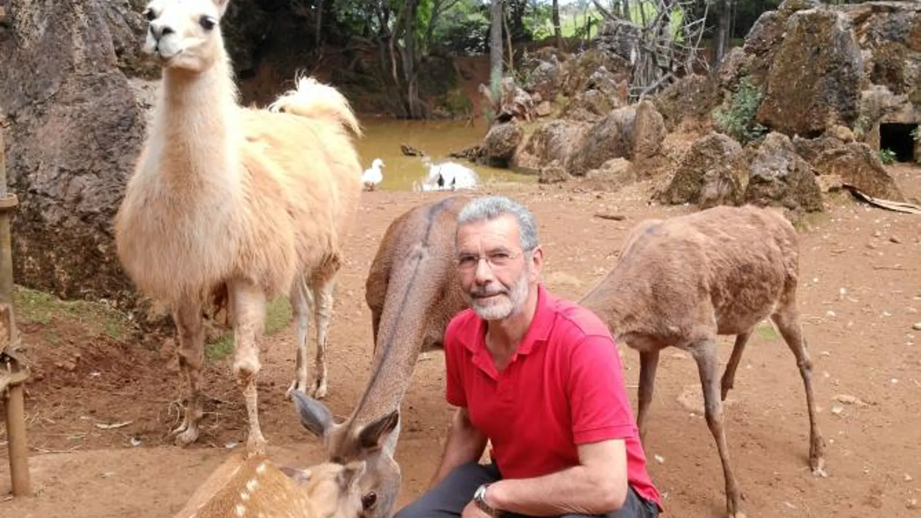Los animales exóticos un gran negocio