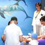 Los tutores de los médicos residentes del Infantil dimiten por los recortes