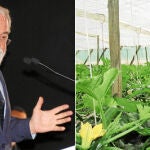 Cañete lleva hoy a Bruselas las demandas agrícolas de Murcia