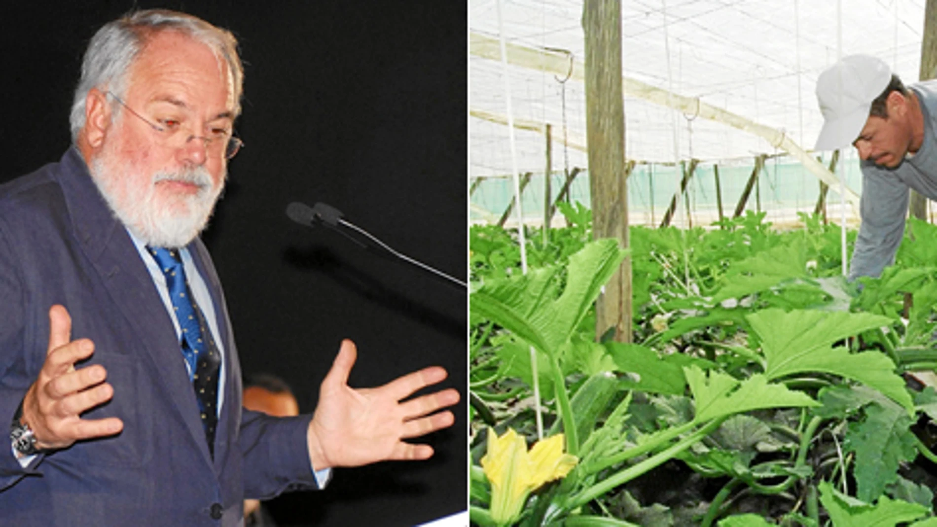 Cañete lleva hoy a Bruselas las demandas agrícolas de Murcia