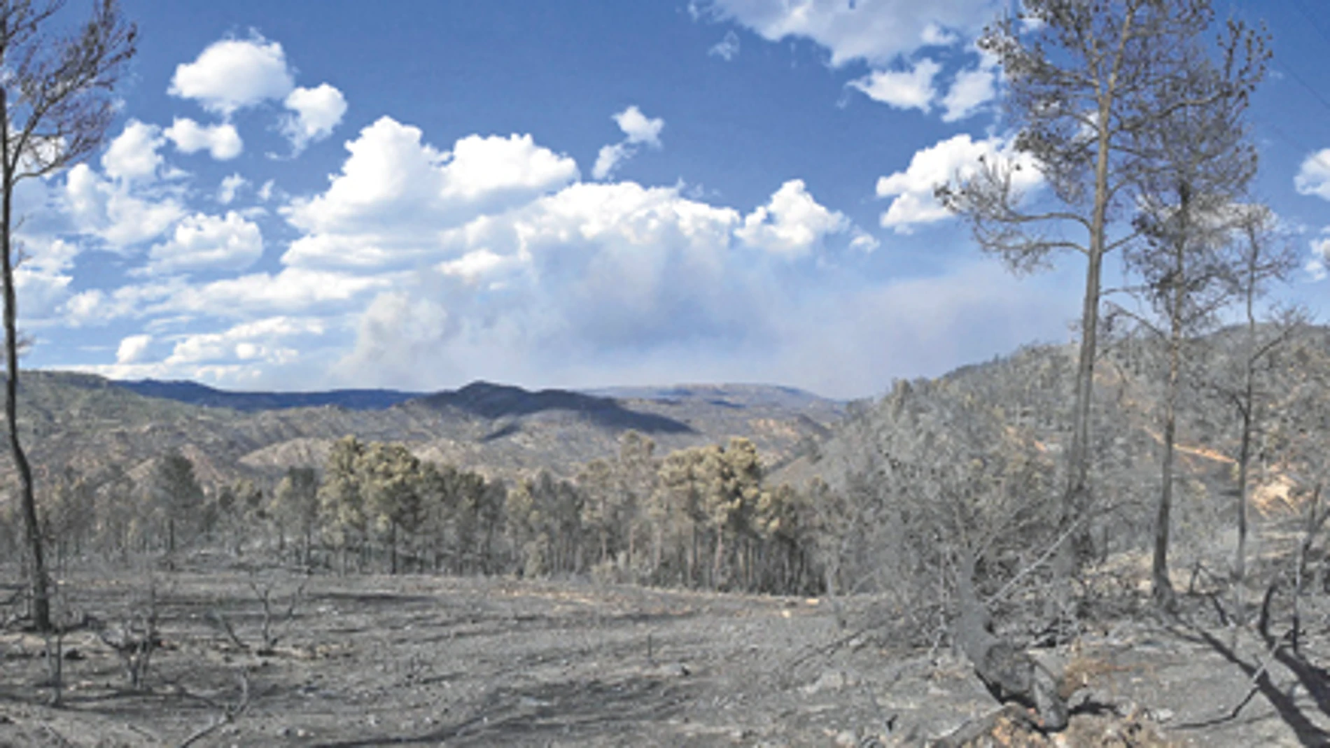 El verano de los grandes Incendios forestales