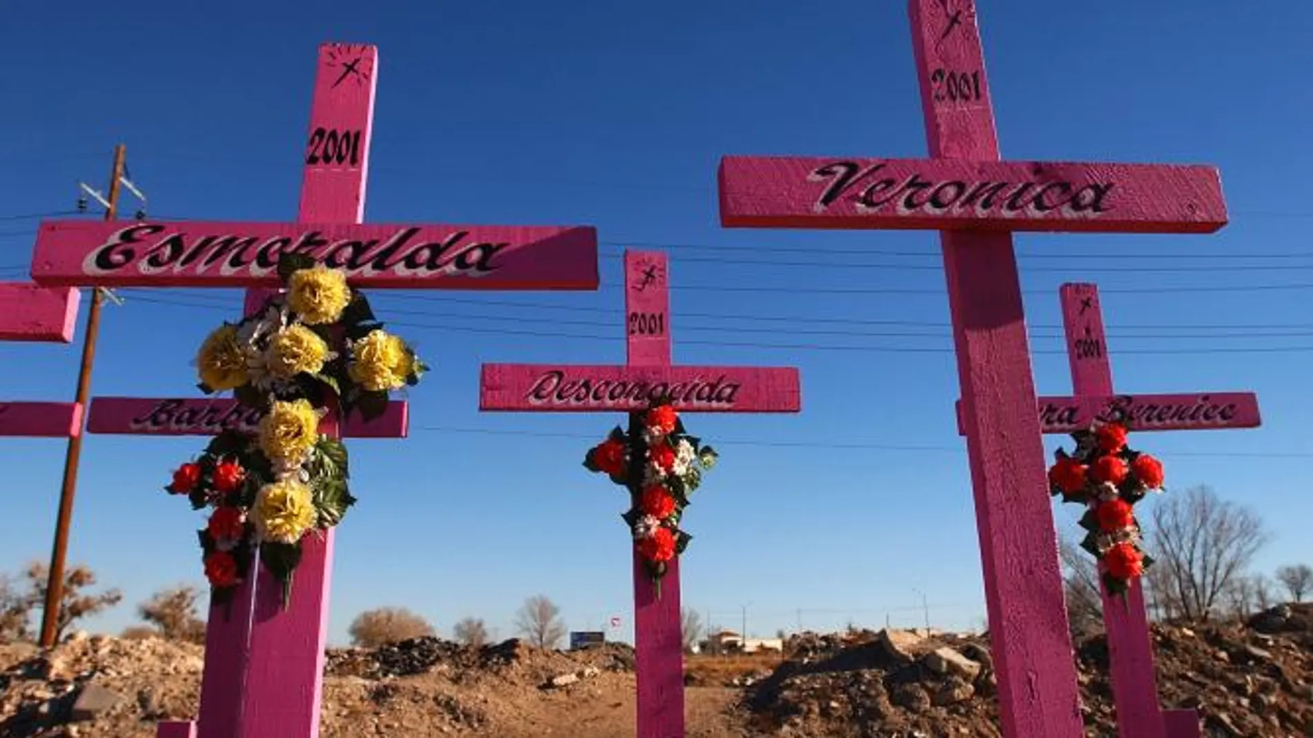 Ocho cruces rosas recuerdan a las víctimas de la matanza de Campo Algodonero