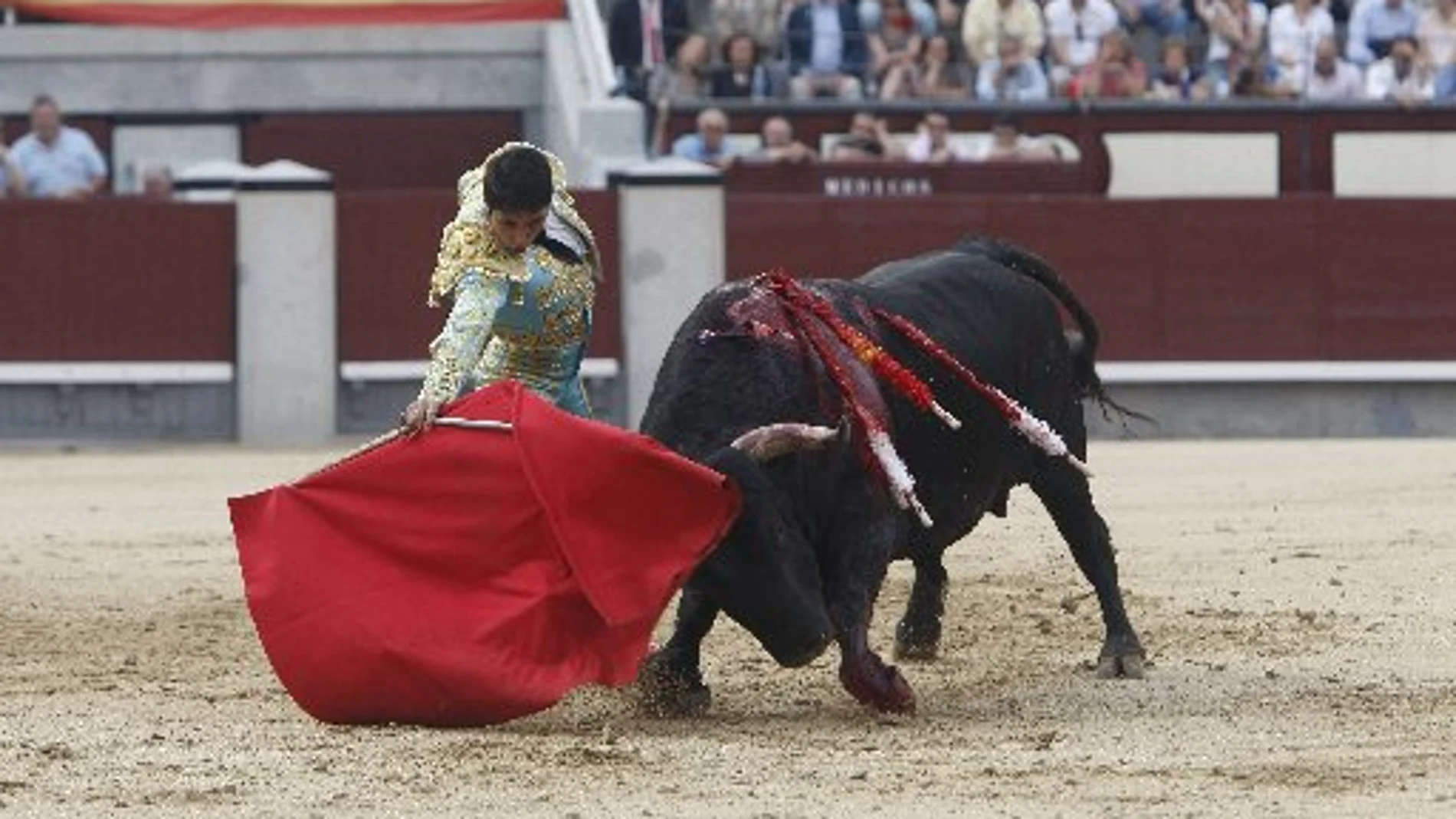 Javier Castaño dado de alta