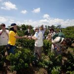 Colombia: sabor a café y azúcar