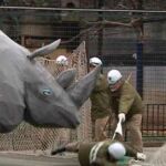 Terror de cartón piedra en el Zoo de Tokio