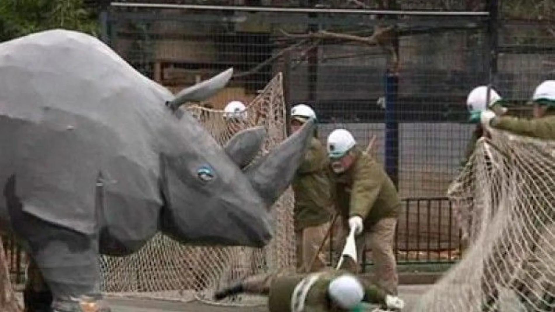 Terror de cartón piedra en el Zoo de Tokio