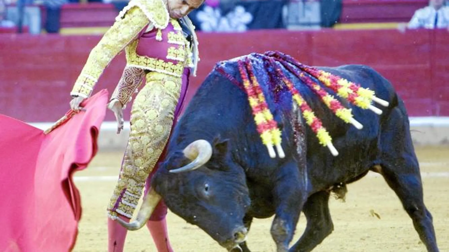 El torero pucelano, ya recuperado de sus molestias en la mano, templa un derechazo en Zaragoza