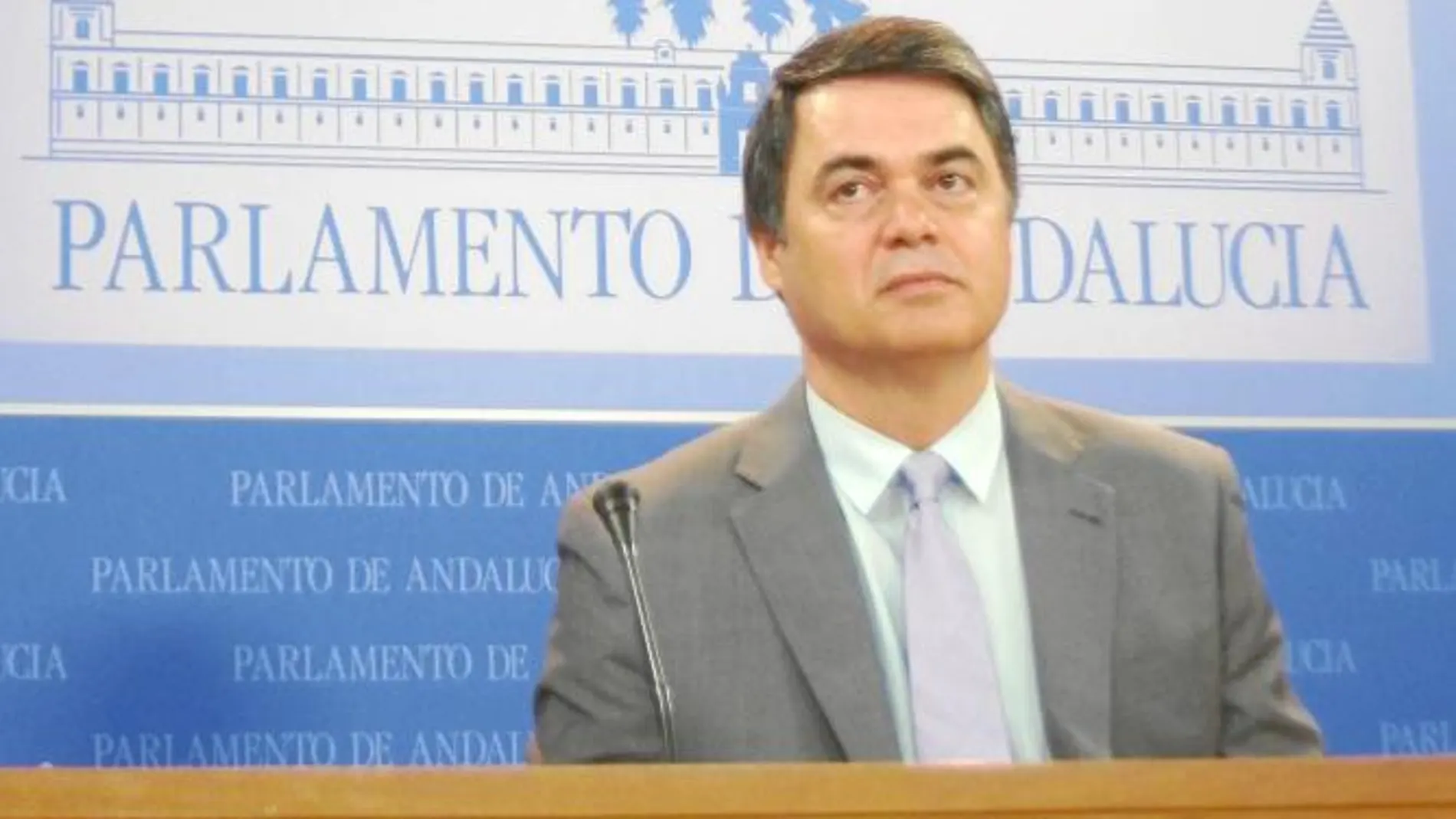 El portavoz del PP-A en el Parlamento, Carlos Rojas, reclama el expediente completo