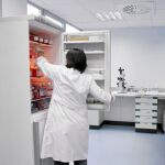 Una investigadora del IOBA de Valladolid guarda varias muestras en una cámara de refrigeración