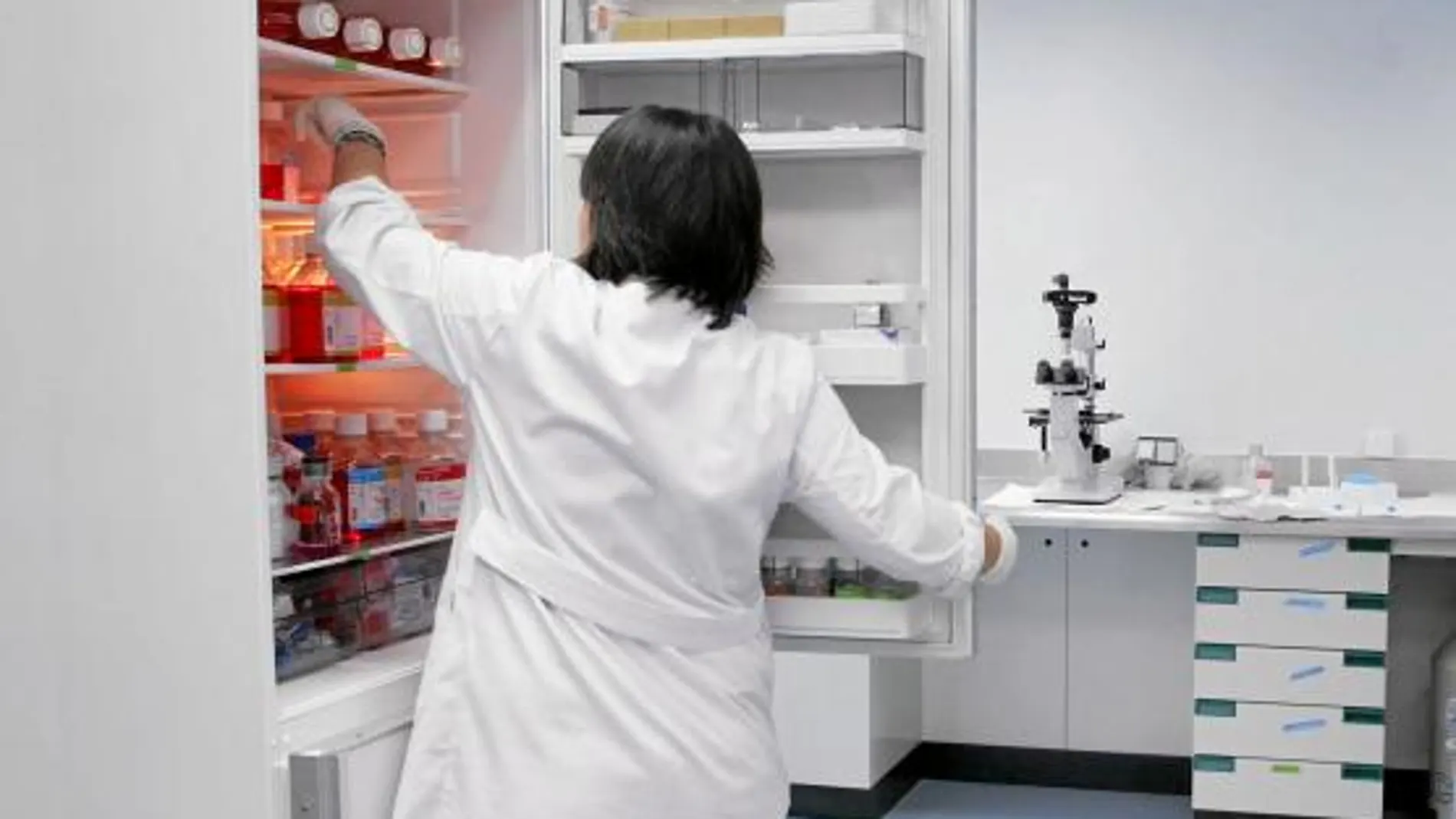 Una investigadora del IOBA de Valladolid guarda varias muestras en una cámara de refrigeración