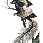 Cuando los reptiles volaban: desvelan el misterio de las alas del pájaro prehistórico