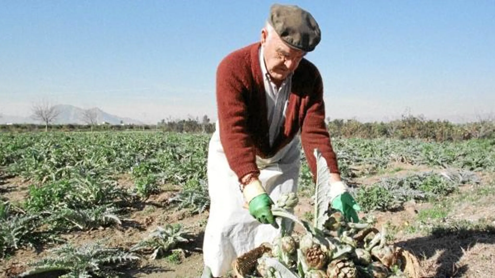 Las heladas acaban con gran parte de las cosechas de hortalizas y frutales de hueso