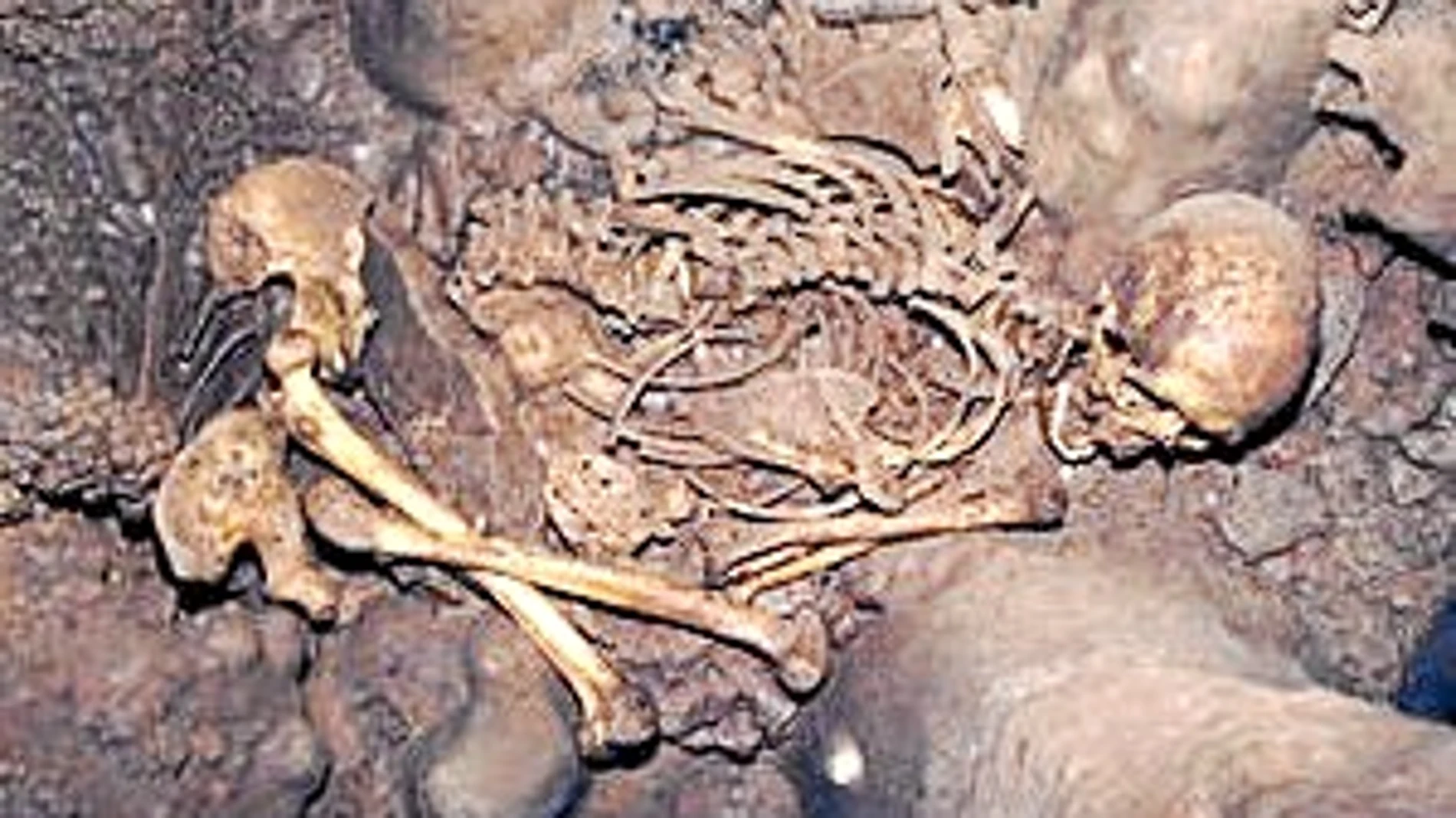 El ADN español el más antiguo de la prehistoria