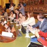 La consellera de Agricultura ayer durante el Consejo Consultivo