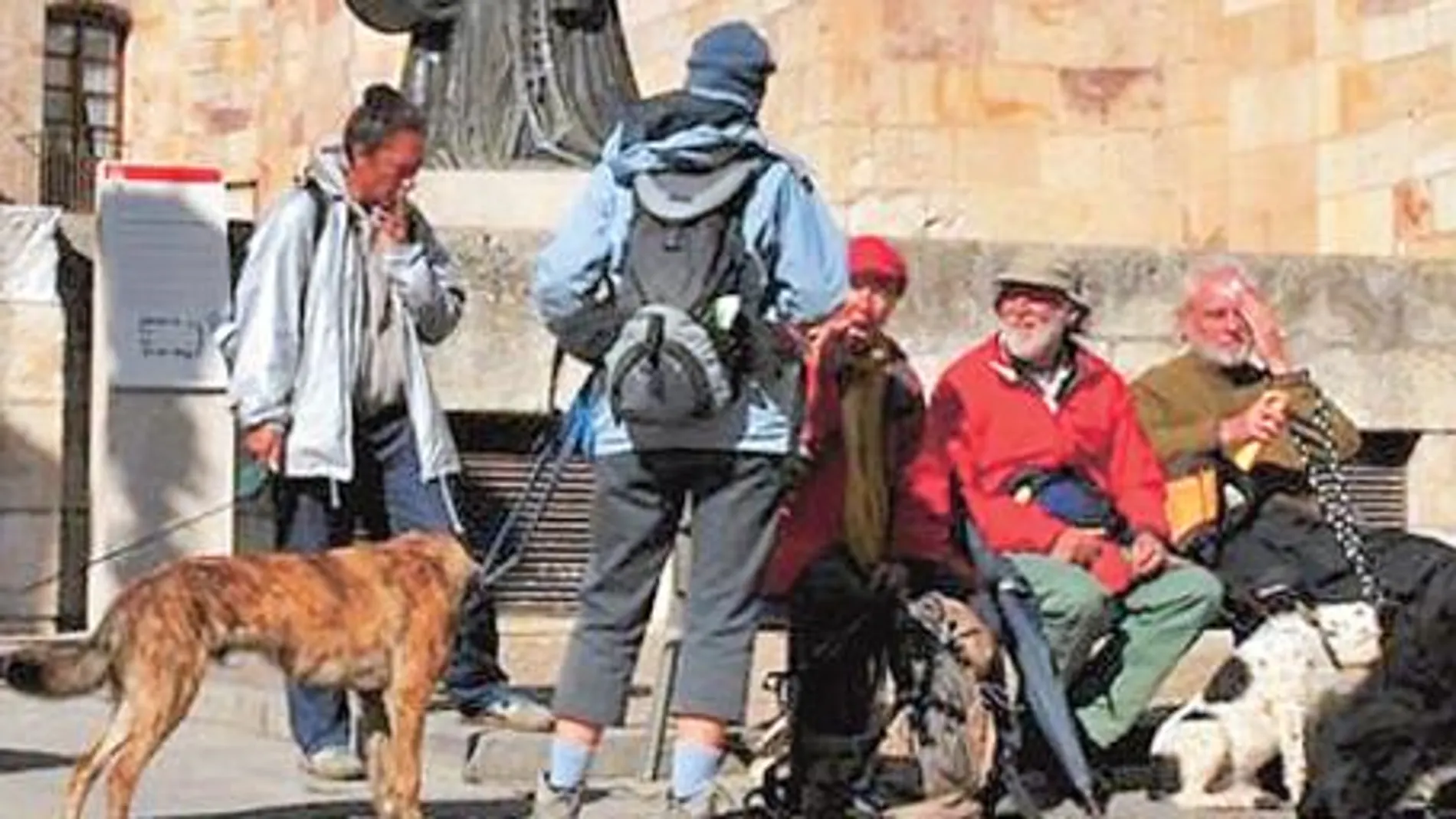 El «Camino canino» a una semana de llegar a Santiago
