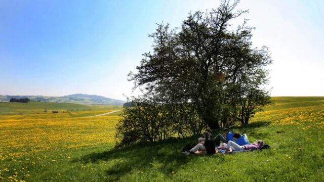Las temperaturas alcanzarán mañana los 30 grados en el sur peninsular
