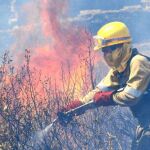 Más de 2000 técnicos plantan cara en la sombra a los incendios de la Comunidad