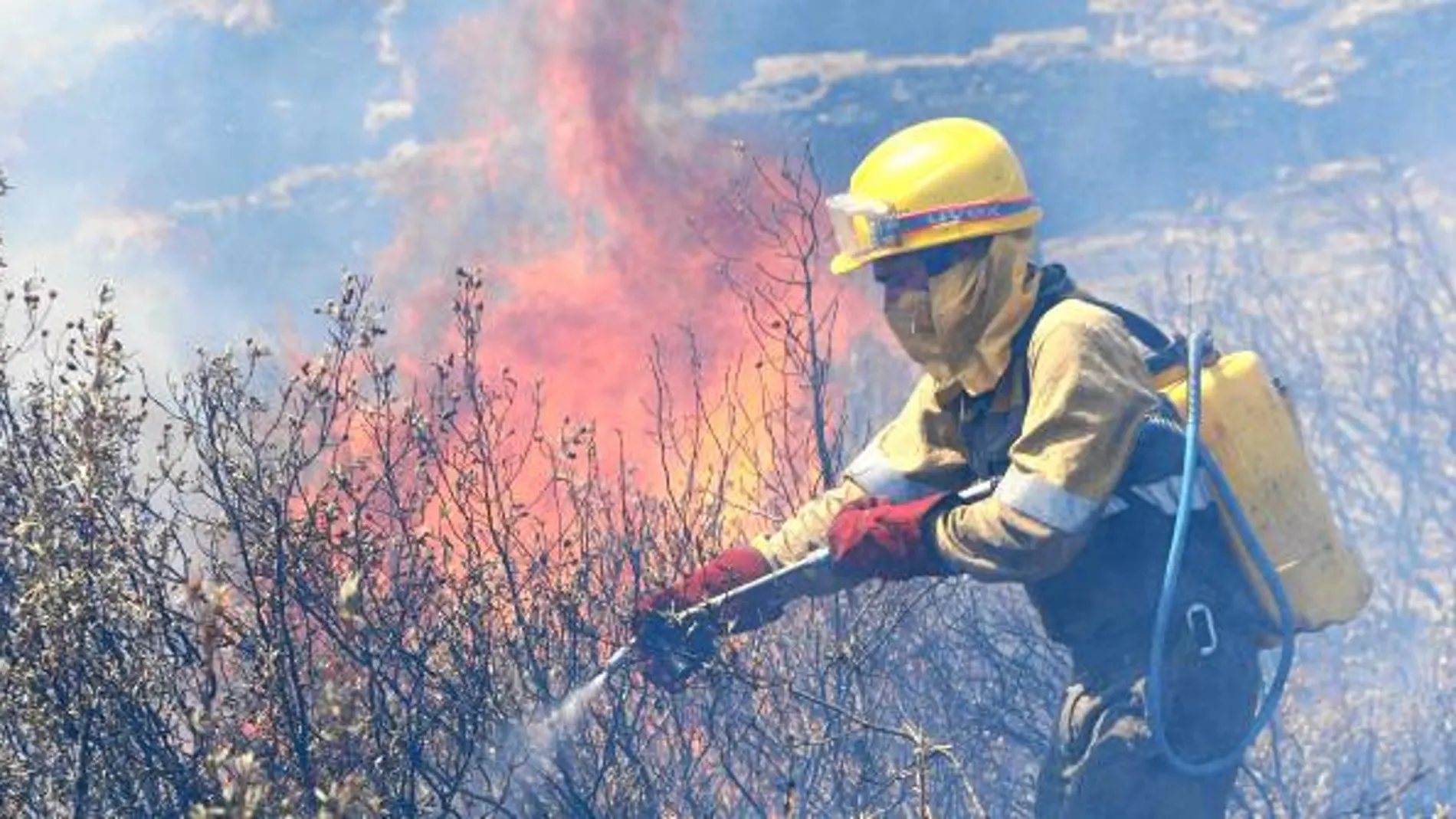 Más de 2000 técnicos plantan cara en la sombra a los incendios de la Comunidad