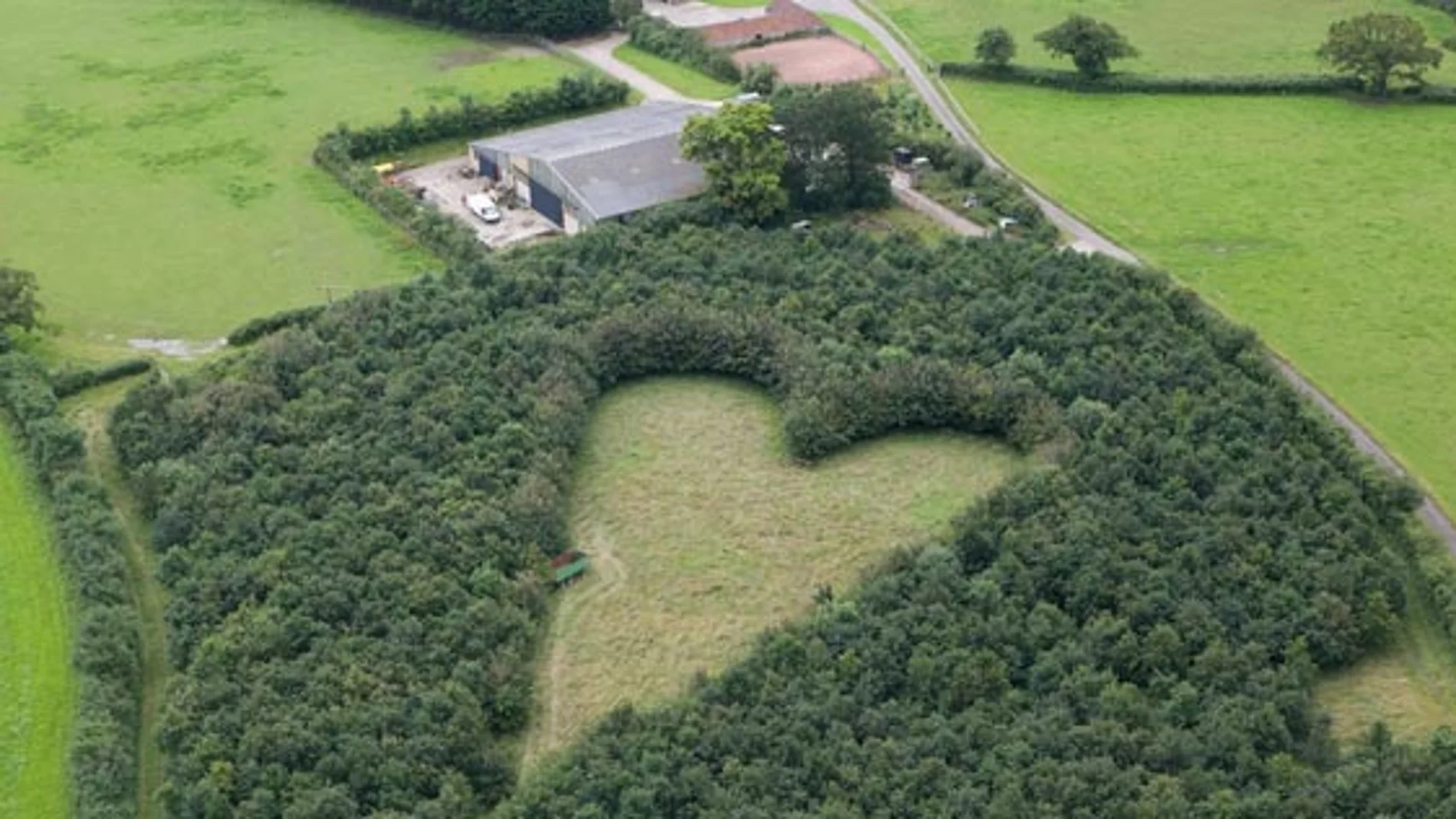 El corazón gigante del viudo enamorado