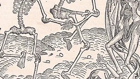 La peste negra del siglo XIV, origen de los brotes actuales