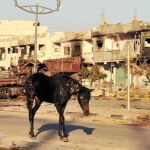 La ciudad de Sirte amaneció ayer arrasada tras dos meses de batalla intensa y feroz