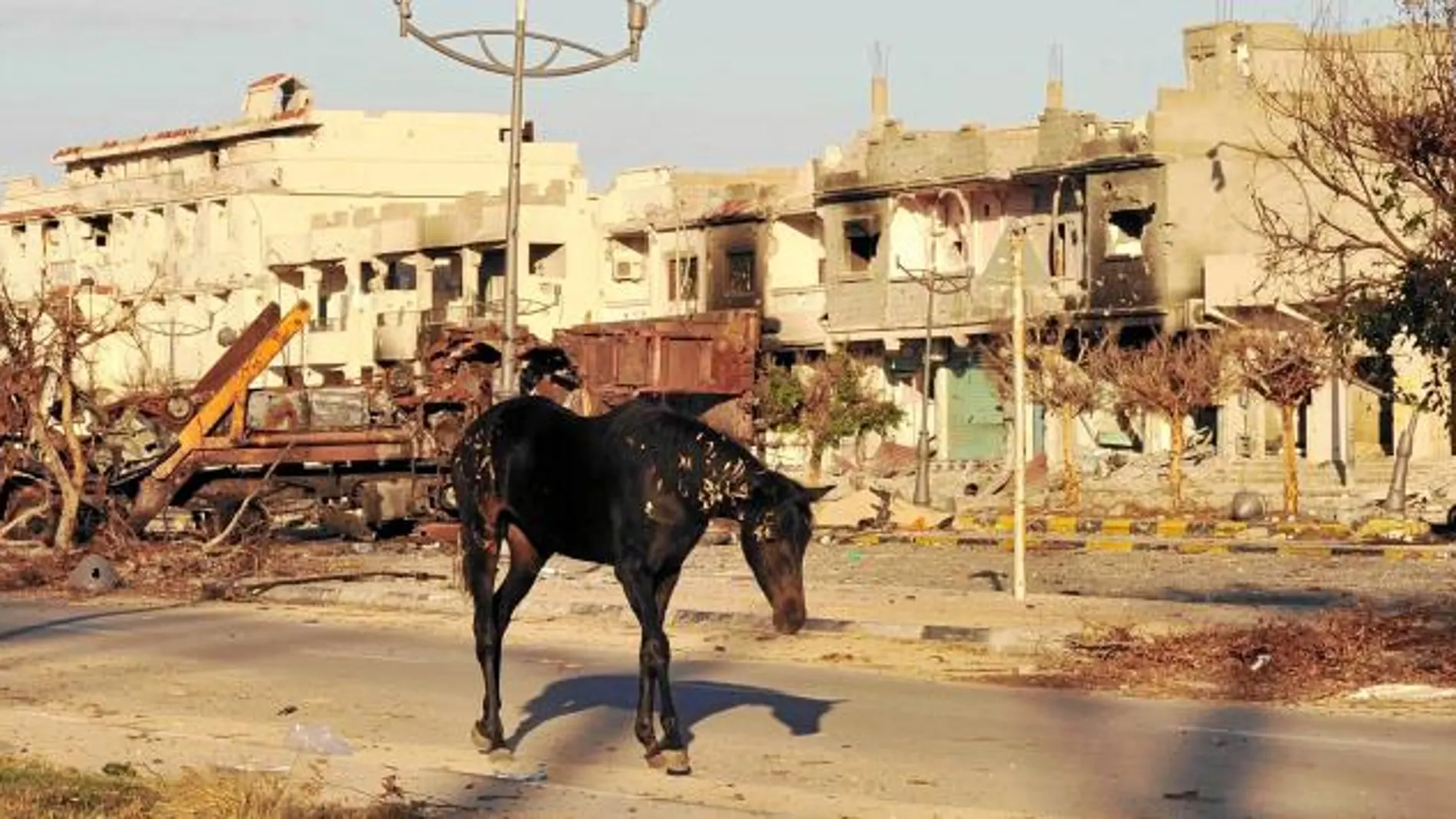 La ciudad de Sirte amaneció ayer arrasada tras dos meses de batalla intensa y feroz